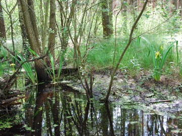 309-l5n1m, P. Kowalska, OT BPK