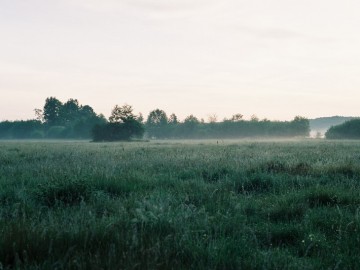 Rezerwat Siwica