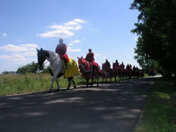W drodze na Grunwald, w okolicach Skierniewic, <p>fot. S. Pytliński</p>