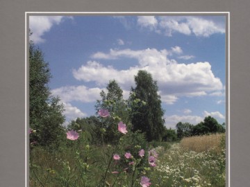 469_6a90324d97d5449fb2a92f47a77f4ffe, 