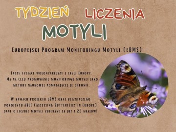 Inormacja o Europejskim Programie Monitoringu Motyli, 