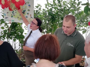 Dożynki Wojewódzkie w Rogowie, 